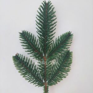 Нобіліс зелений