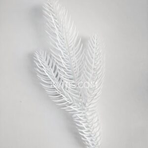 Хвоя трійка біла